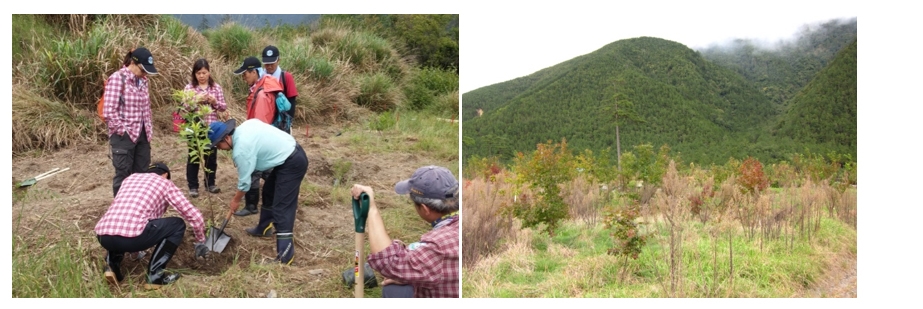 在七家灣溪河岸邊及回收之廢耕地上,進行各項造林活動與計畫