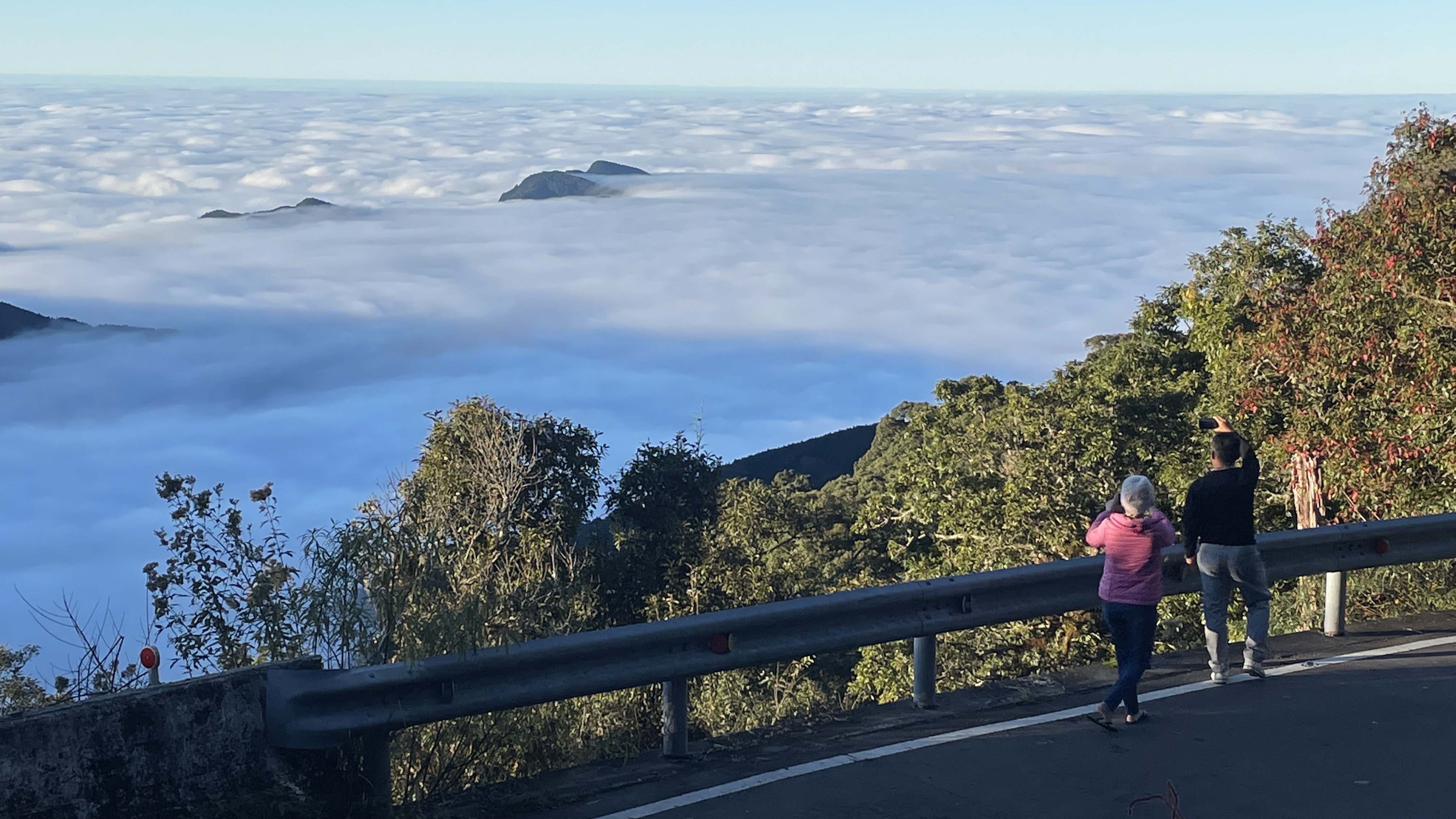 元旦觀霧榛山減碳登山趣
