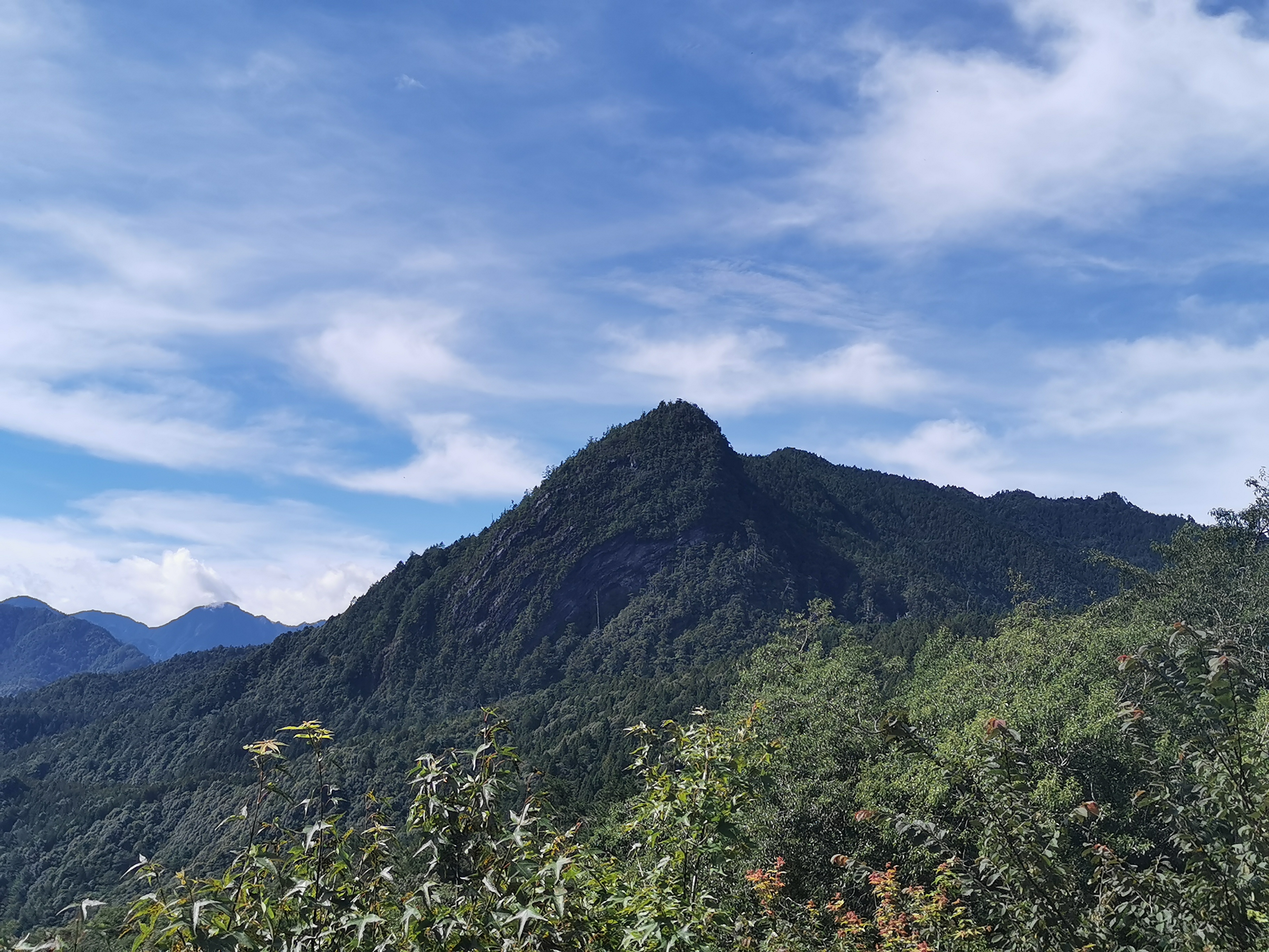 元旦觀霧榛山減碳登山趣