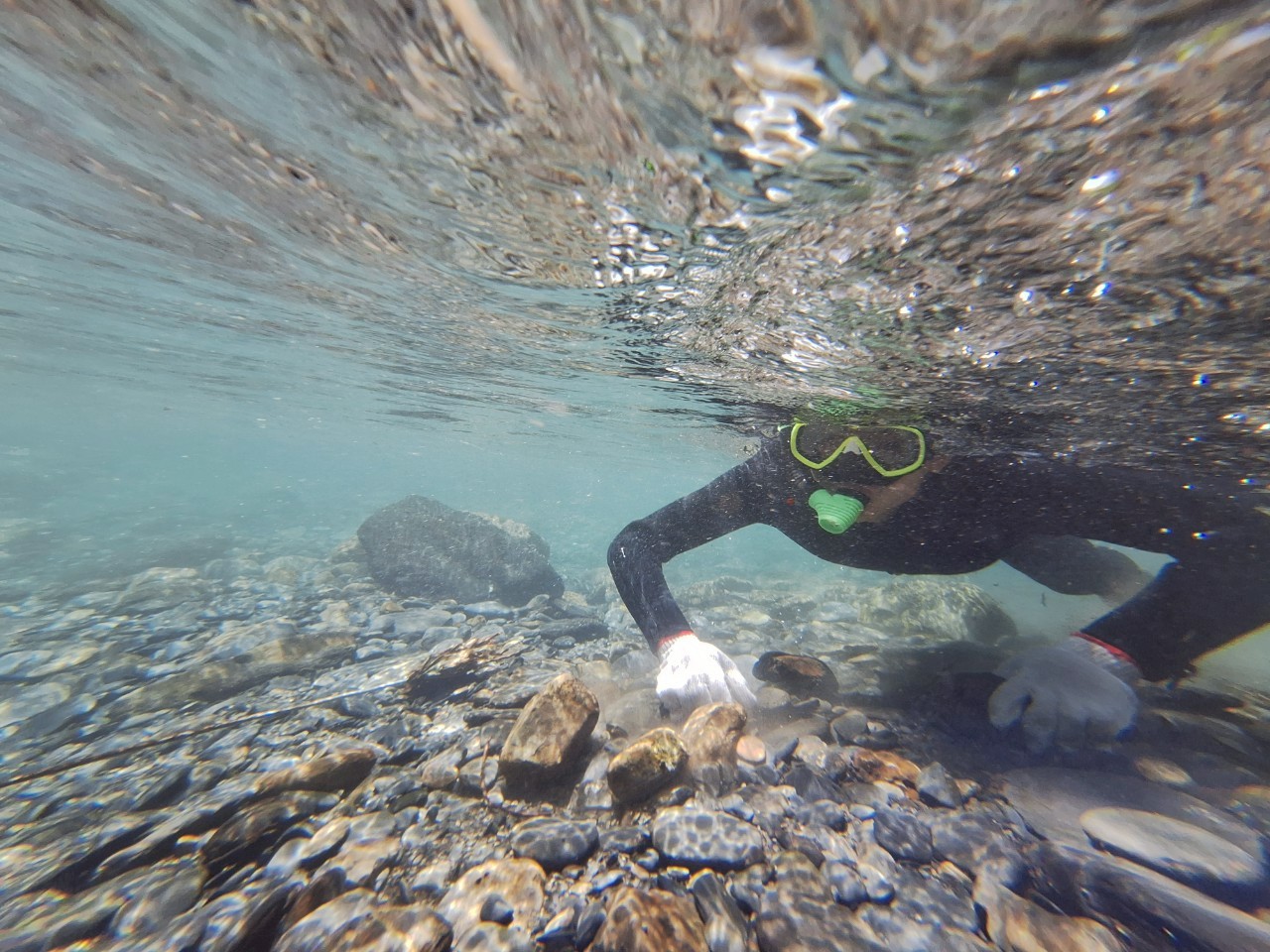 雪霸國家公園第18屆 Youth Camp 青年營隊